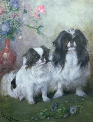 A Japanese Chin Bitch and Her Puppy, 1919